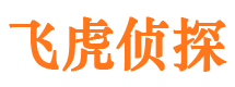 安图市侦探调查公司